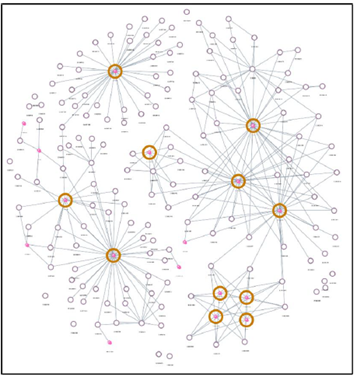 CAST Imaging modellazione