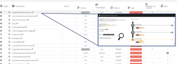 Open_source_risk_versioni